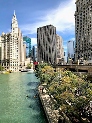 Kayakers on the Chicago River