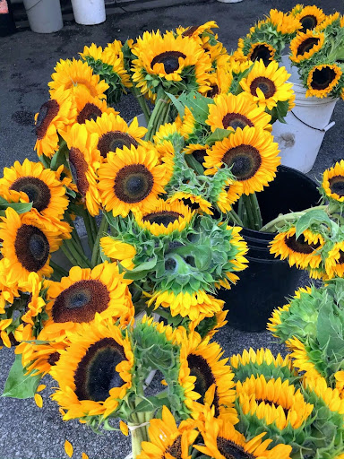 Beautiful sunflowers at a farmer’s market in Chicago