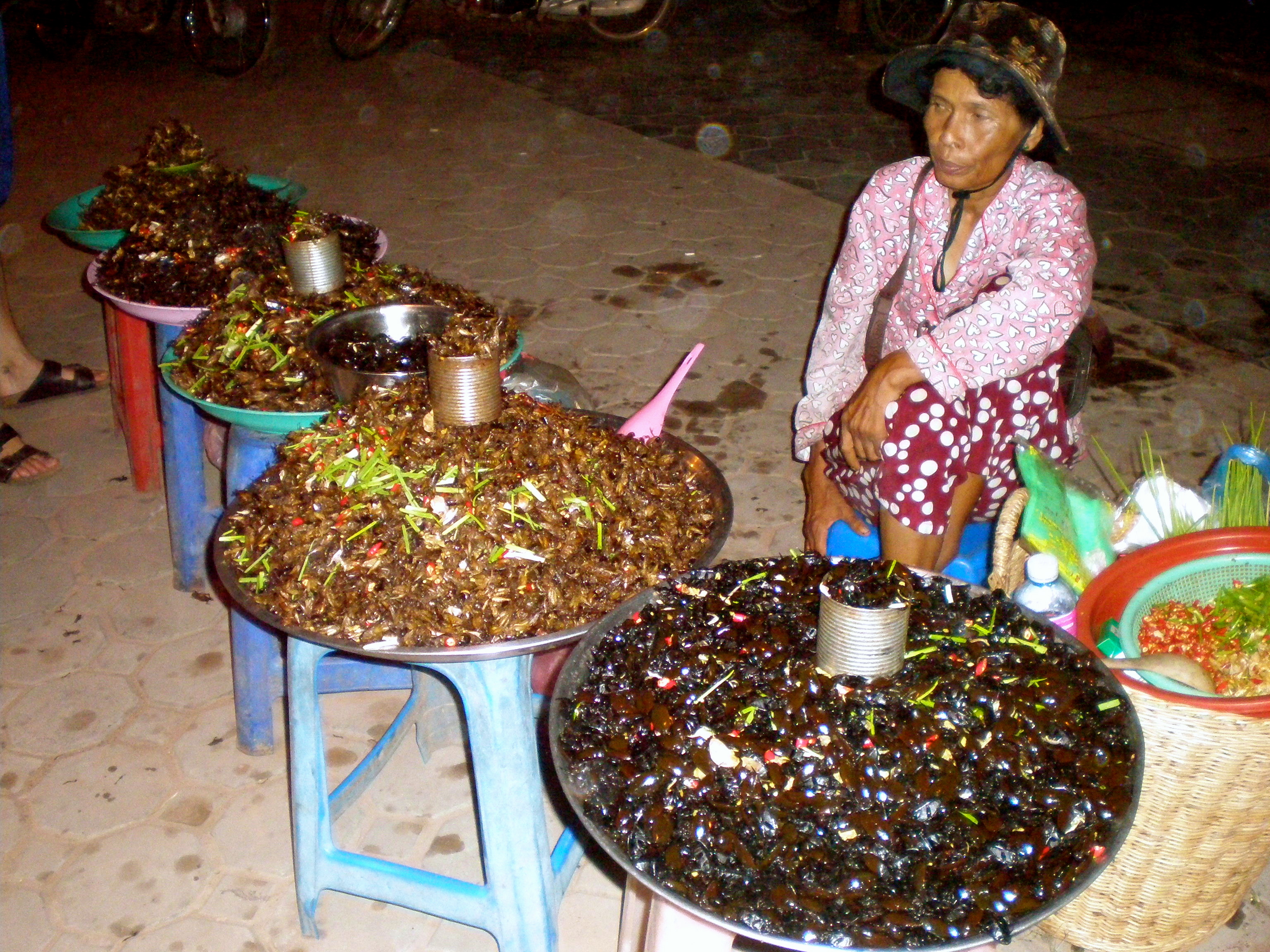 Bug lady Siem Reap