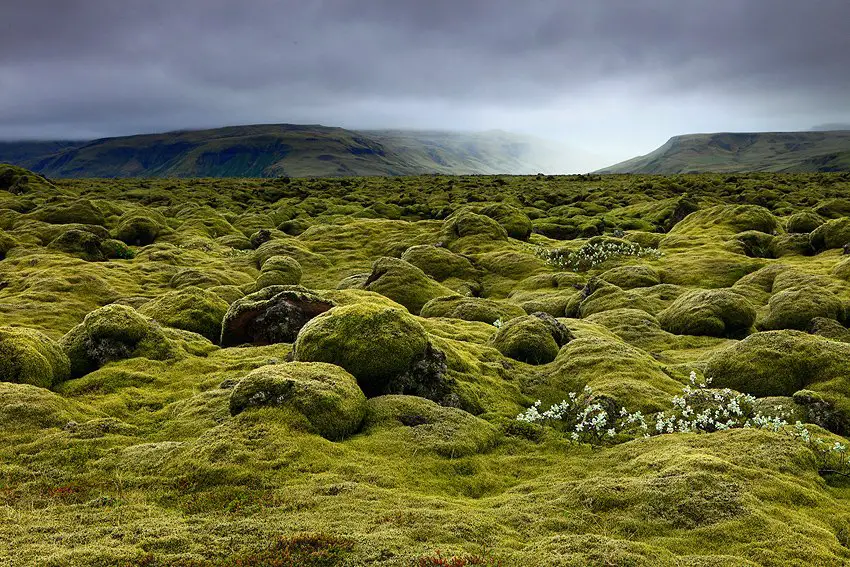 lava fields Iceland