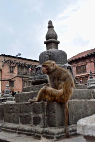 What to do in Kathmandu