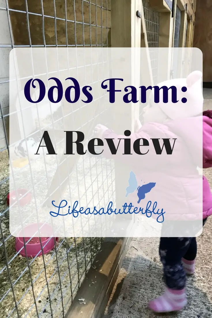 Odds Farm: A Review